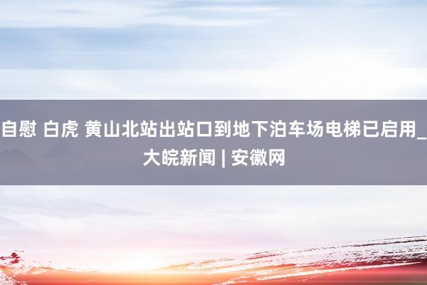 自慰 白虎 黄山北站出站口到地下泊车场电梯已启用_大皖新闻 | 安徽网