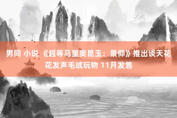 男同 小说 《超等马里奥昆玉：景仰》推出谈天花花发声毛绒玩物 11月发售