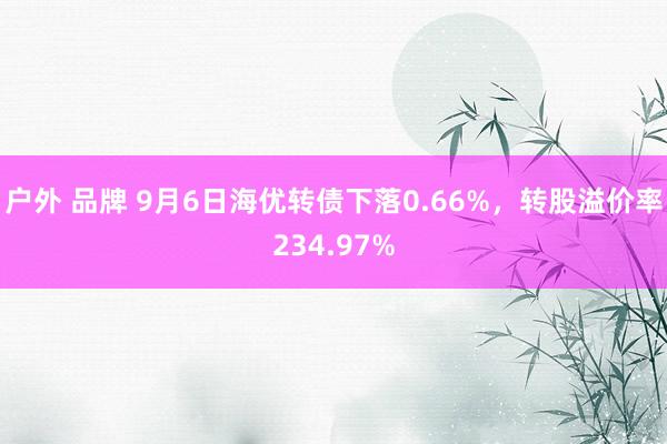 户外 品牌 9月6日海优转债下落0.66%，转股溢价率234.97%