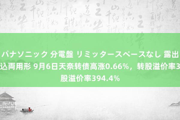 パナソニック 分電盤 リミッタースペースなし 露出・半埋込両用形 9月6日天奈转债高涨0.66%，转股溢价率394.4%