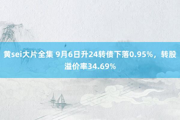 黄sei大片全集 9月6日升24转债下落0.95%，转股溢价率34.69%