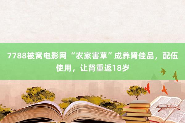 7788被窝电影网 “农家害草”成养肾佳品，配伍使用，让肾重返18岁