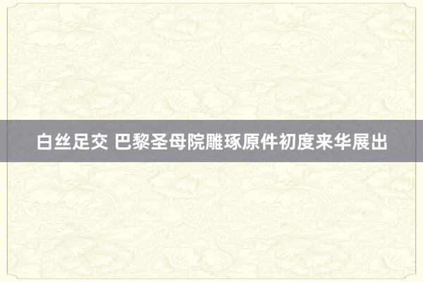 白丝足交 巴黎圣母院雕琢原件初度来华展出