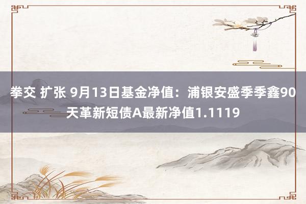 拳交 扩张 9月13日基金净值：浦银安盛季季鑫90天革新短债A最新净值1.1119