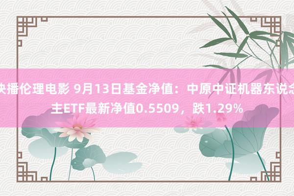 快播伦理电影 9月13日基金净值：中原中证机器东说念主ETF最新净值0.5509，跌1.29%