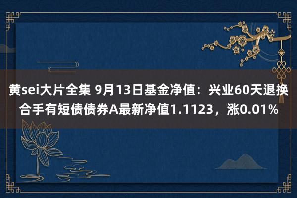 黄sei大片全集 9月13日基金净值：兴业60天退换合手有短债债券A最新净值1.1123，涨0.01%