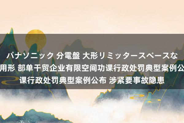 パナソニック 分電盤 大形リミッタースペースなし 露出・半埋込両用形 部单干贸企业有限空间功课行政处罚典型案例公布 涉紧要事故隐患