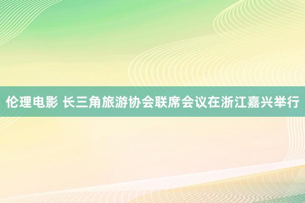 伦理电影 长三角旅游协会联席会议在浙江嘉兴举行