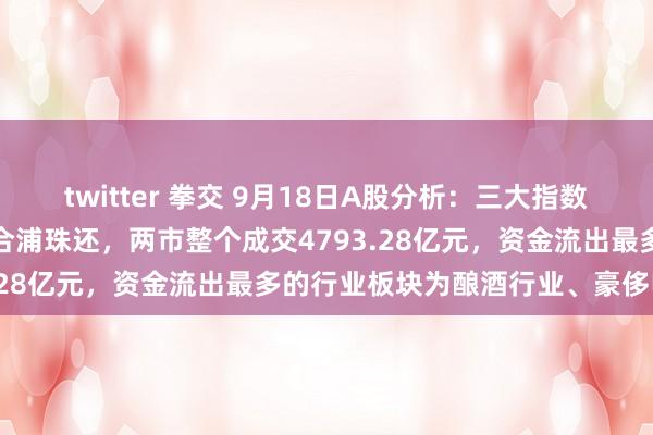 twitter 拳交 9月18日A股分析：三大指数涨跌不一，沪指2700点合浦珠还，两市整个成交4793.28亿元，资金流出最多的行业板块为酿酒行业、豪侈电子