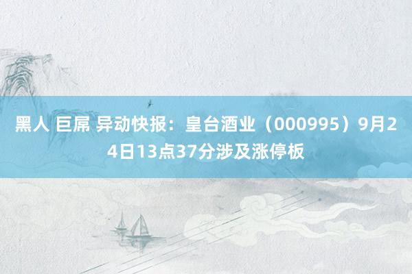 黑人 巨屌 异动快报：皇台酒业（000995）9月24日13点37分涉及涨停板