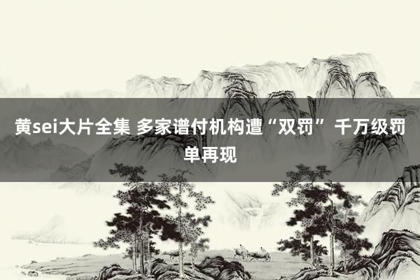 黄sei大片全集 多家谱付机构遭“双罚” 千万级罚单再现