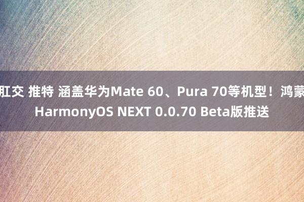 肛交 推特 涵盖华为Mate 60、Pura 70等机型！鸿蒙HarmonyOS NEXT 0.0.70 Beta版推送