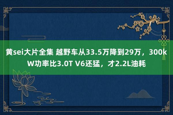 黄sei大片全集 越野车从33.5万降到29万，300kW功率比3.0T V6还猛，才2.2L油耗