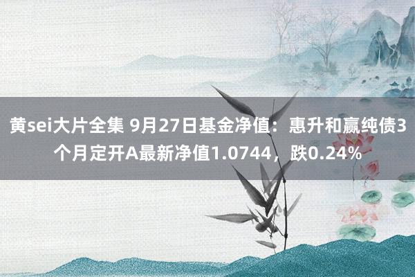 黄sei大片全集 9月27日基金净值：惠升和赢纯债3个月定开A最新净值1.0744，跌0.24%