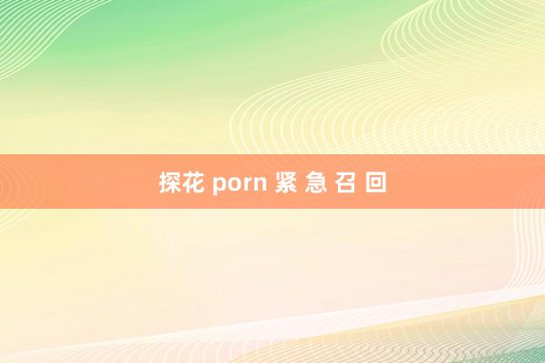 探花 porn 紧 急 召 回