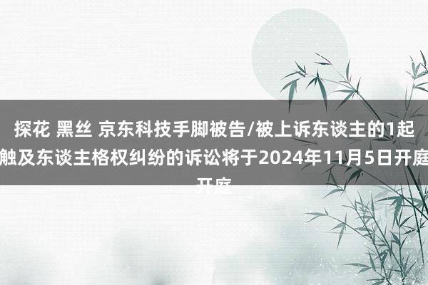 探花 黑丝 京东科技手脚被告/被上诉东谈主的1起触及东谈主格权纠纷的诉讼将于2024年11月5日开庭