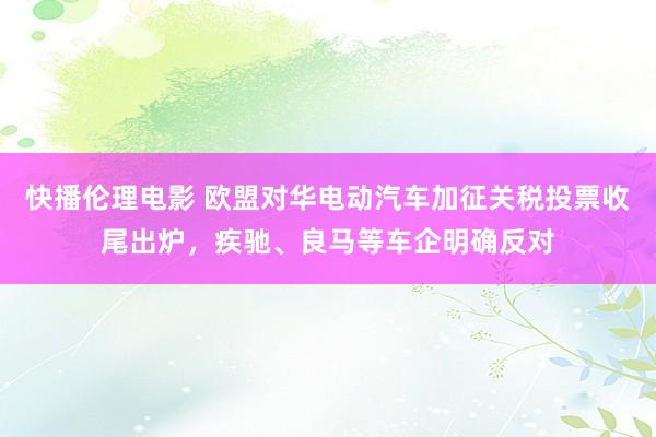 快播伦理电影 欧盟对华电动汽车加征关税投票收尾出炉，疾驰、良马等车企明确反对