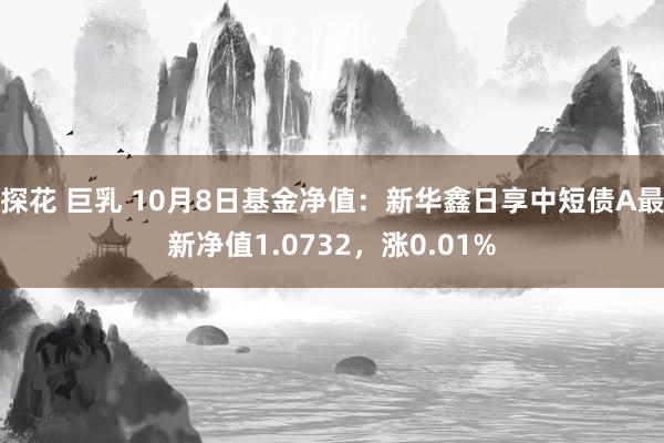 探花 巨乳 10月8日基金净值：新华鑫日享中短债A最新净值1.0732，涨0.01%