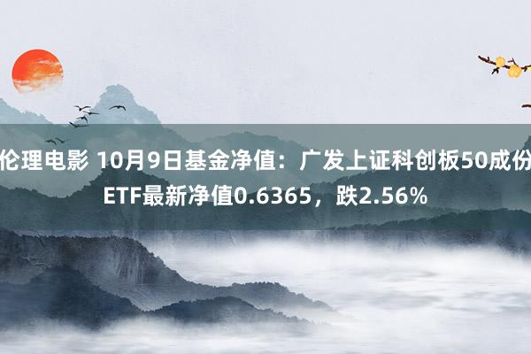 伦理电影 10月9日基金净值：广发上证科创板50成份ETF最新净值0.6365，跌2.56%