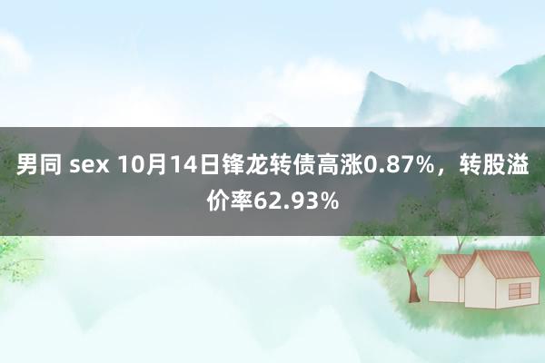 男同 sex 10月14日锋龙转债高涨0.87%，转股溢价率62.93%