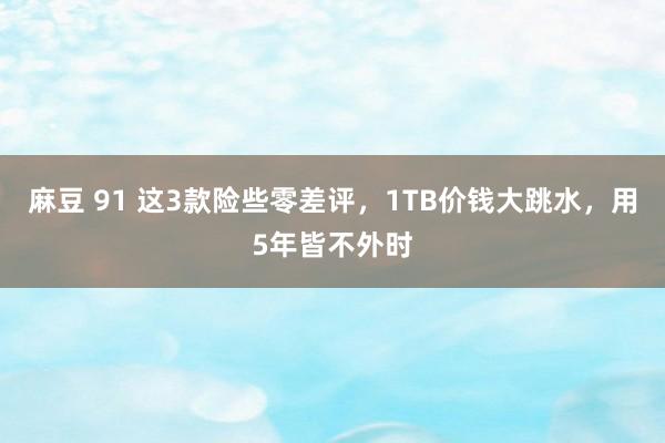 麻豆 91 这3款险些零差评，1TB价钱大跳水，用5年皆不外时