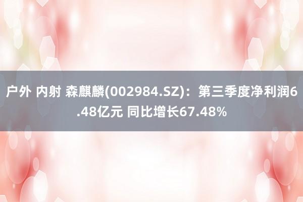 户外 内射 森麒麟(002984.SZ)：第三季度净利润6.48亿元 同比增长67.48%