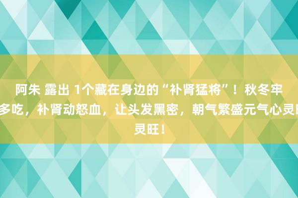 阿朱 露出 1个藏在身边的“补肾猛将”！秋冬牢记多吃，补肾动怒血，让头发黑密，朝气繁盛元气心灵旺！