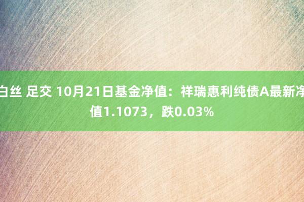 白丝 足交 10月21日基金净值：祥瑞惠利纯债A最新净值1.1073，跌0.03%