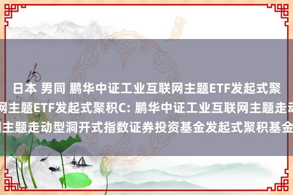 日本 男同 鹏华中证工业互联网主题ETF发起式聚积A，鹏华中证工业互联网主题ETF发起式聚积C: 鹏华中证工业互联网主题走动型洞开式指数证券投资基金发起式聚积基金2024年第3季度讲演