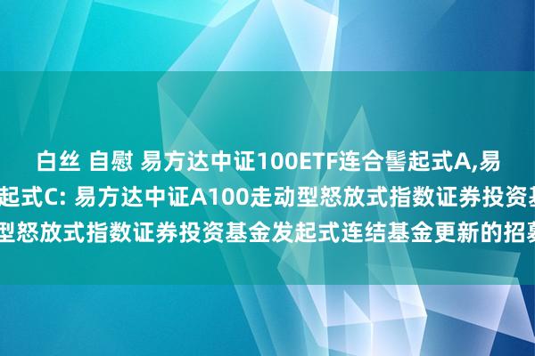 白丝 自慰 易方达中证100ETF连合髻起式A，易方达中证100ETF连合髻起式C: 易方达中证A100走动型怒放式指数证券投资基金发起式连结基金更新的招募说明书