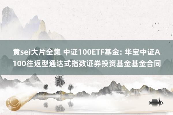 黄sei大片全集 中证100ETF基金: 华宝中证A100往返型通达式指数证券投资基金基金合同