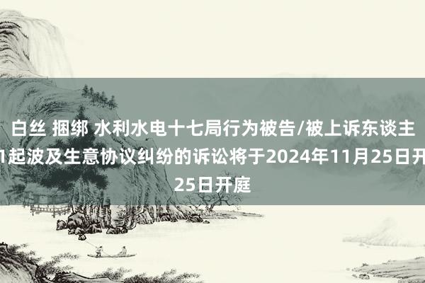 白丝 捆绑 水利水电十七局行为被告/被上诉东谈主的1起波及生意协议纠纷的诉讼将于2024年11月25日开庭