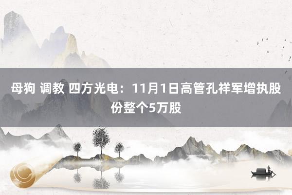 母狗 调教 四方光电：11月1日高管孔祥军增执股份整个5万股