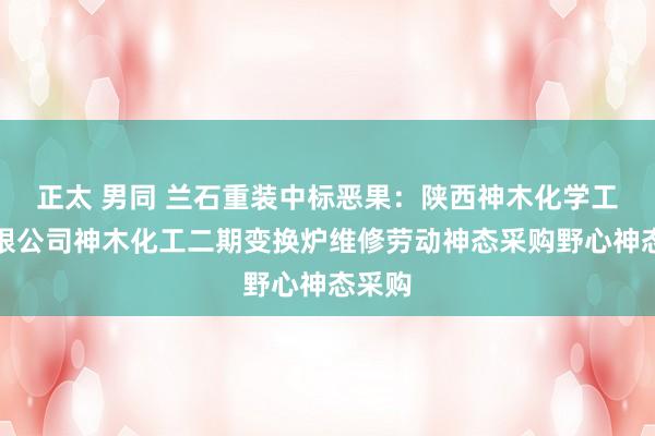 正太 男同 兰石重装中标恶果：陕西神木化学工业有限公司神木化工二期变换炉维修劳动神态采购野心神态采购