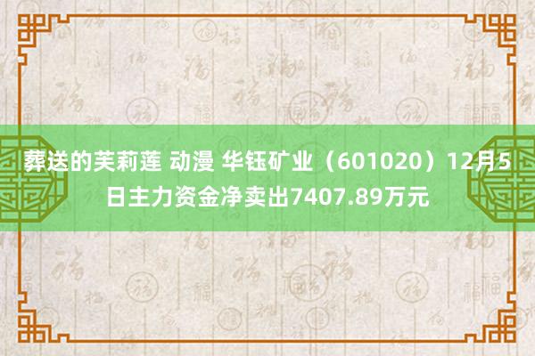 葬送的芙莉莲 动漫 华钰矿业（601020）12月5日主力资金净卖出7407.89万元