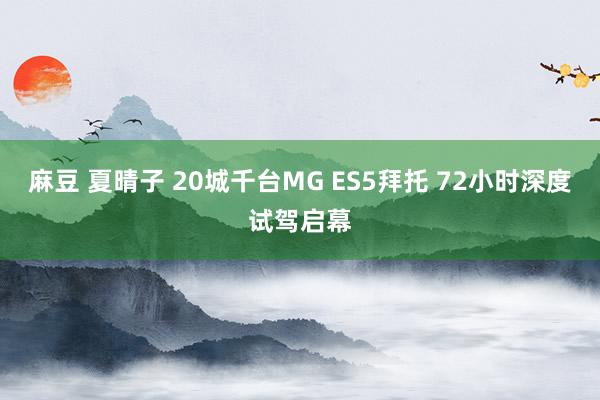 麻豆 夏晴子 20城千台MG ES5拜托 72小时深度试驾启幕