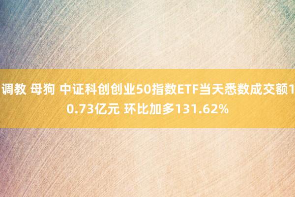 调教 母狗 中证科创创业50指数ETF当天悉数成交额10.73亿元 环比加多131.62%