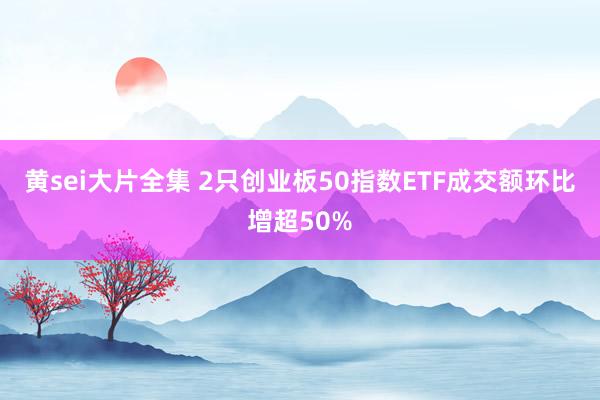 黄sei大片全集 2只创业板50指数ETF成交额环比增超50%