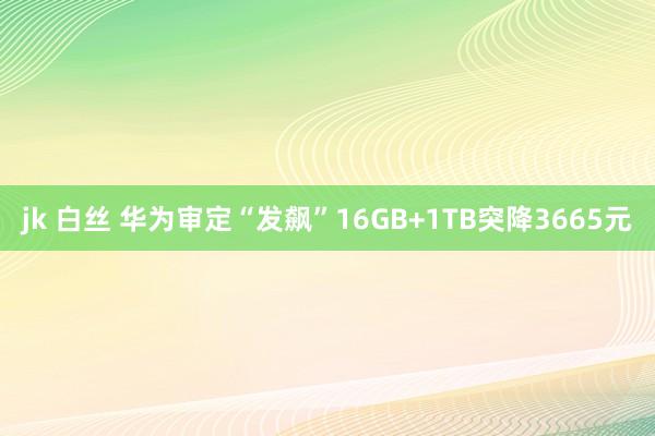 jk 白丝 华为审定“发飙”16GB+1TB突降3665元