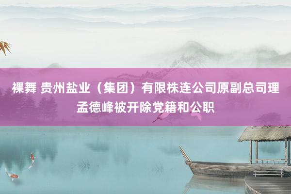 裸舞 贵州盐业（集团）有限株连公司原副总司理孟德峰被开除党籍和公职