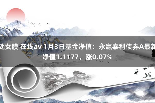 处女膜 在线av 1月3日基金净值：永赢泰利债券A最新净值1.1177，涨0.07%