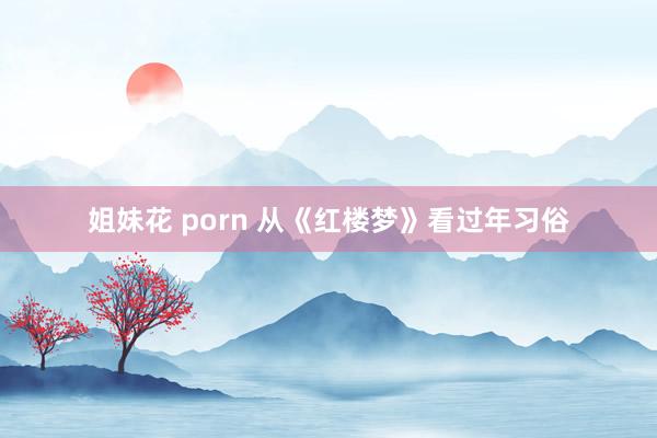 姐妹花 porn 从《红楼梦》看过年习俗