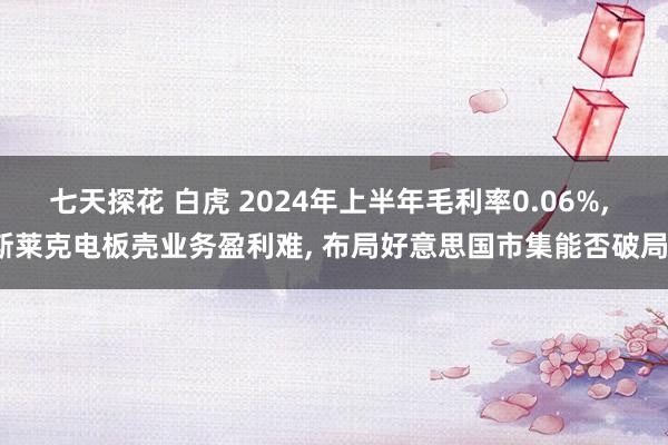 七天探花 白虎 2024年上半年毛利率0.06%， 斯莱克电板壳业务盈利难， 布局好意思国市集能否破局?