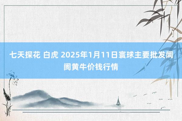 七天探花 白虎 2025年1月11日寰球主要批发阛阓黄牛价钱行情