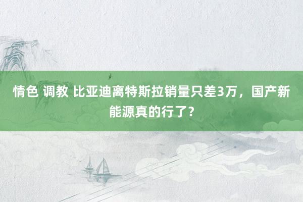 情色 调教 比亚迪离特斯拉销量只差3万，国产新能源真的行了？